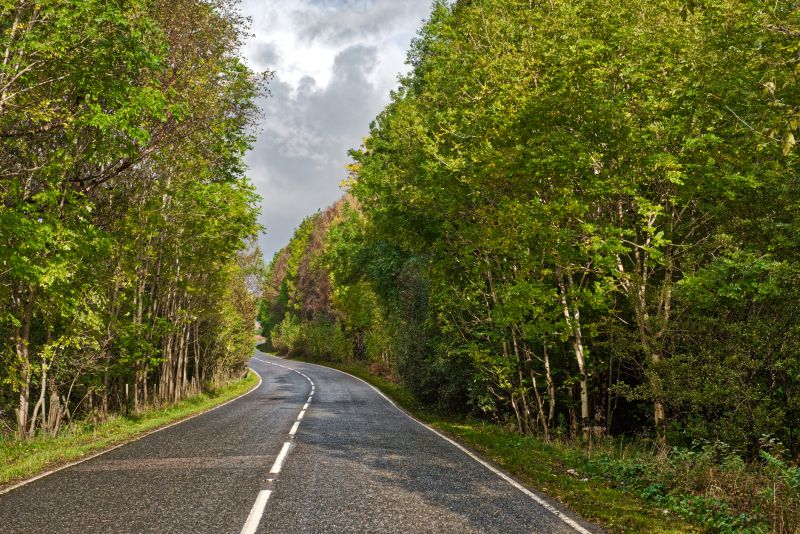 Chip And Seal Paving